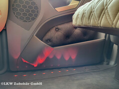 LKW-Innenraum mit beleuchteter Einstiegsleiste. Rote LEDs erhellen die Leiste und den unteren T�rbereich.