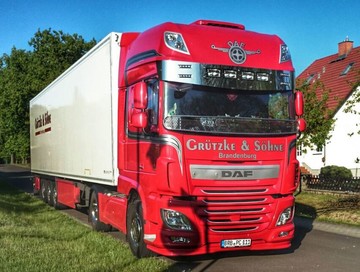 Scheibengitter passend f�r DAF 106 "BIG"