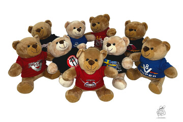 Pl�sch B�r "Siggi" - mit coolen Motiven