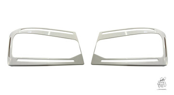 Felips Angel Eyes oder B�ser Blick passend f�r Scania NG (VOLL)