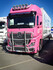 Trux Dachlampenb�gel "Top Bar" passend f�r Actros MP4+5